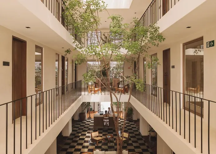 Hotel Lucky Duck Dt Tulum